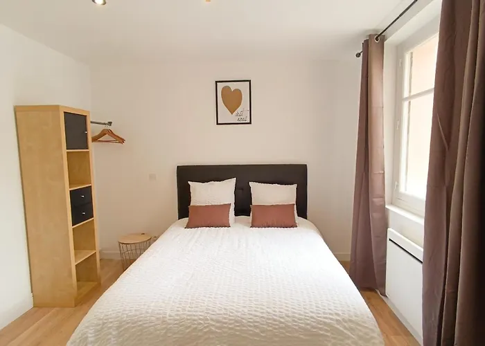 Foucault - Appartements - Au Coeur De Lourdes